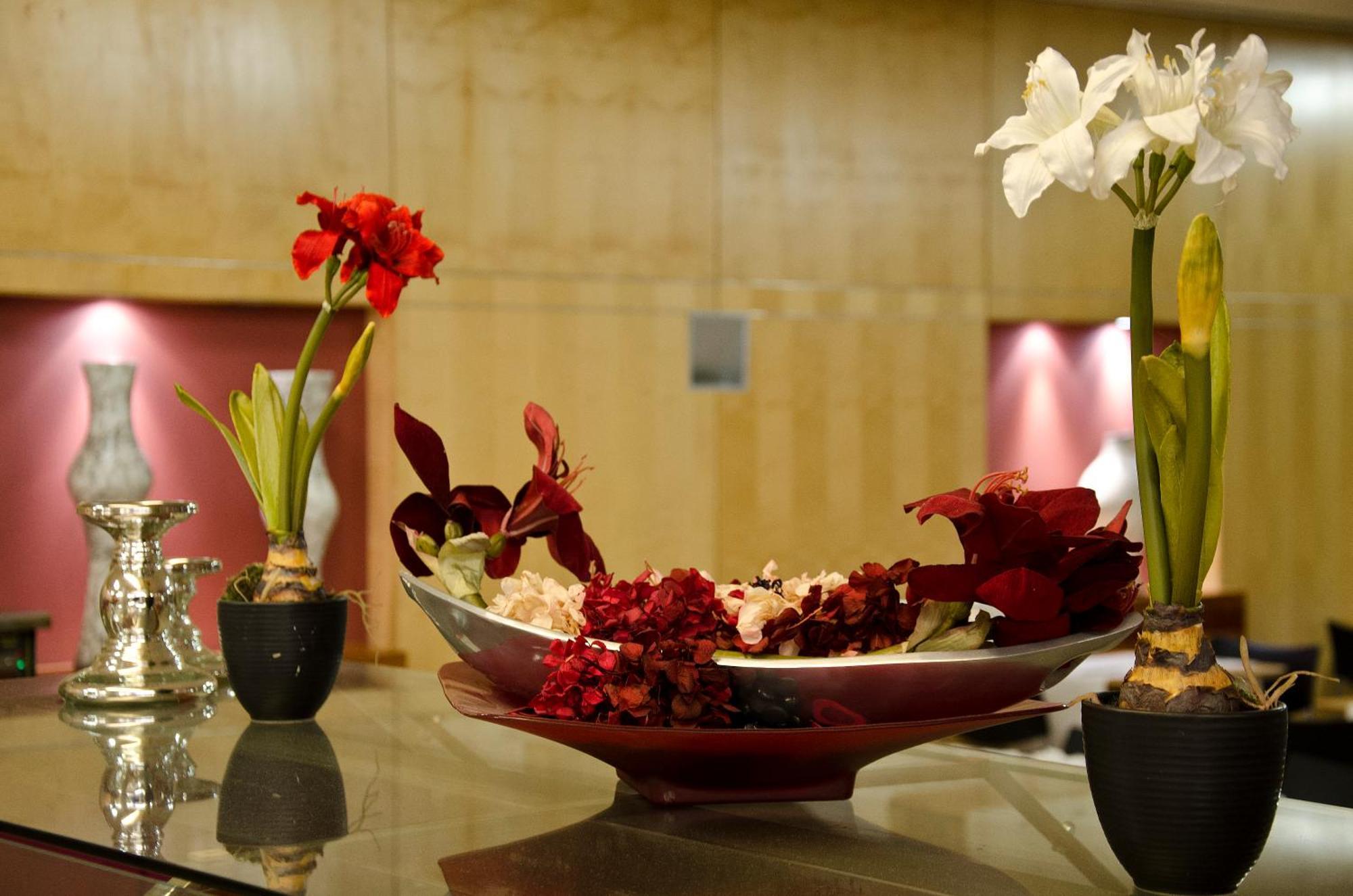 Vip Executive Entrecampos & Conference Hotel Lisbon